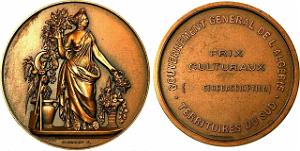MEDAILLES D AFN - 289